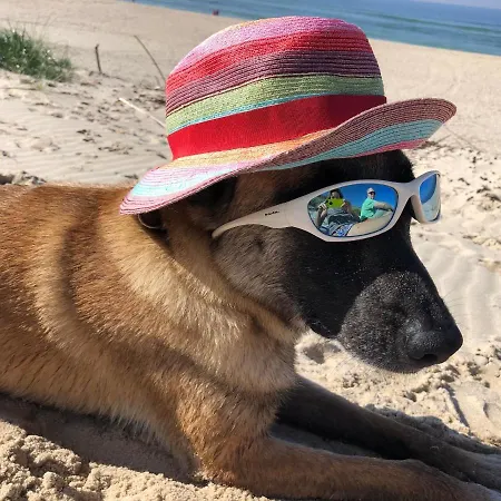 Appartement Moderne Kurparkresidenz