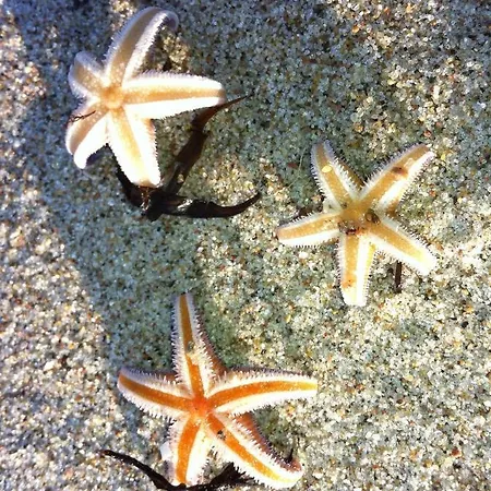 Moderne Kurparkresidenz