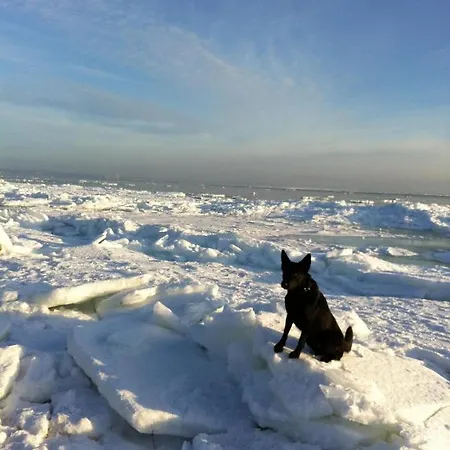 Moderne Kurparkresidenz